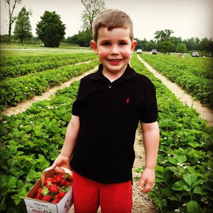 Strawberries Boy 1