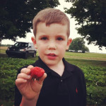 Reids Orchard U Pick Strawberries