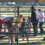 School field trips and tours at Reid's Orchard