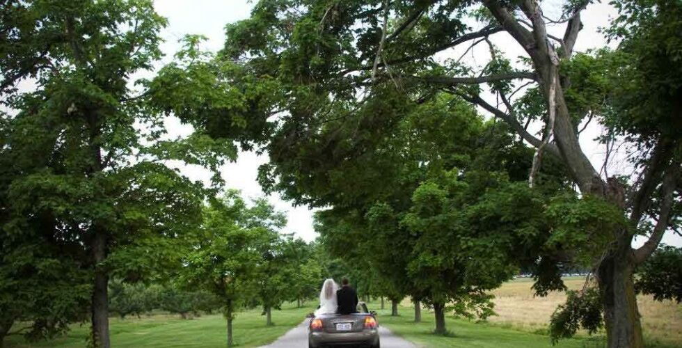 reids-orchard-wedding-outdoors-driveway